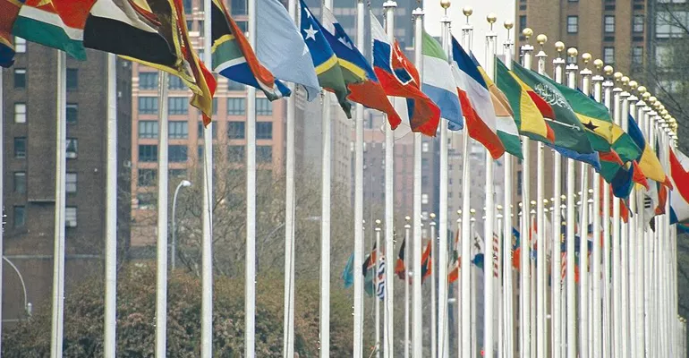 Job-Hunting for International Students